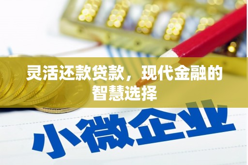沙鹿灵活还款贷款，现代金融的智慧选择