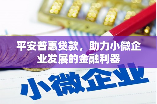 泰来平安普惠贷款，助力小微企业发展的金融利器