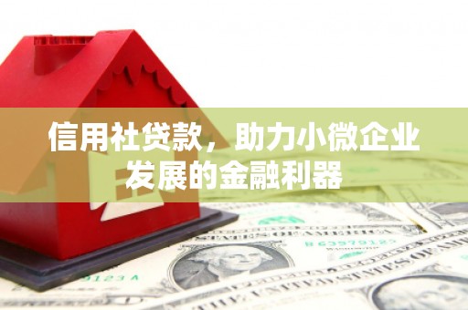 仁寿信用社贷款，助力小微企业发展的金融利器