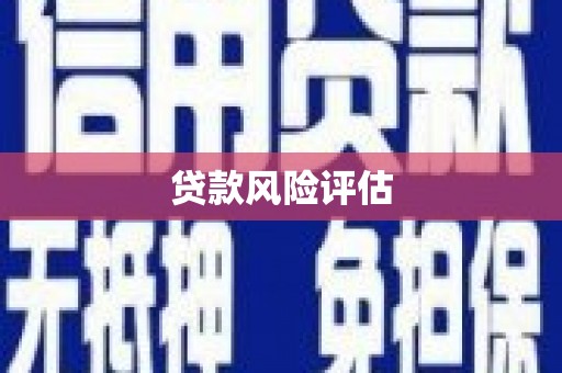 淡水贷款风险评估