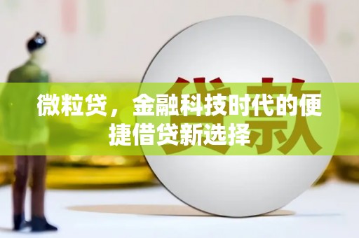 石鼓微粒贷，金融科技时代的便捷借贷新选择