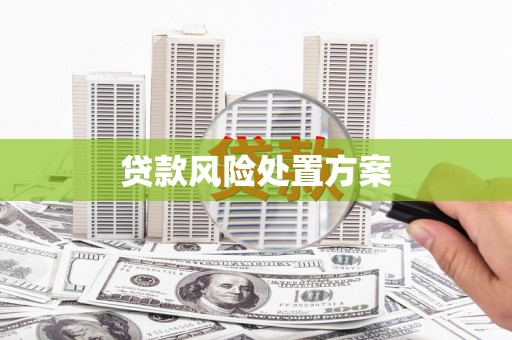 郎溪贷款风险处置方案