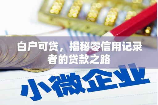 沙洋白户可贷，揭秘零信用记录者的贷款之路