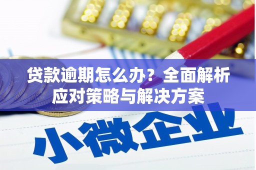 西市贷款逾期怎么办？全面解析应对策略与解决方案