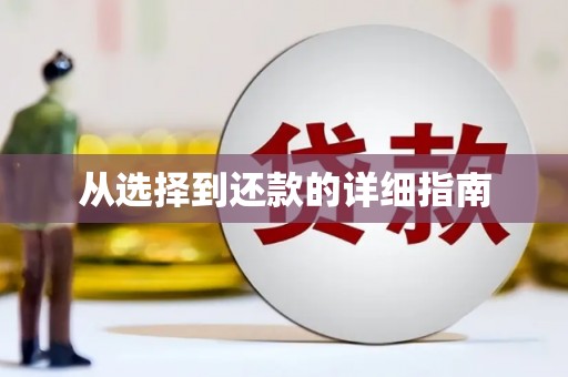卑南从选择到还款的详细指南
