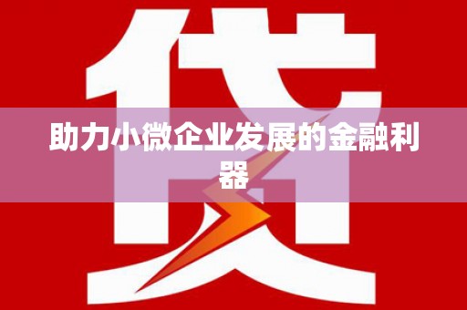 王益助力小微企业发展的金融利器
