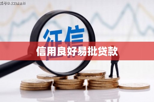 嵊州信用良好易批贷款