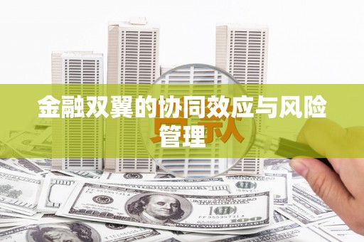 沈河金融双翼的协同效应与风险管理