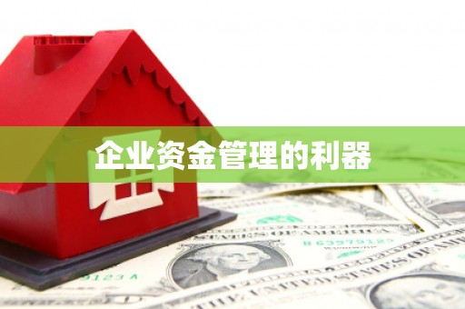 太麻里企业资金管理的利器