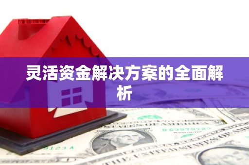 镇雄灵活资金解决方案的全面解析