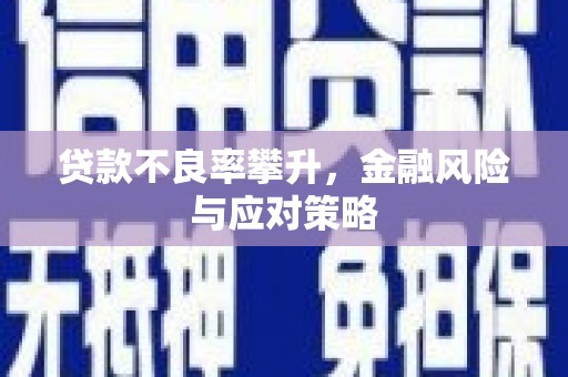 泗阳贷款不良率攀升，金融风险与应对策略